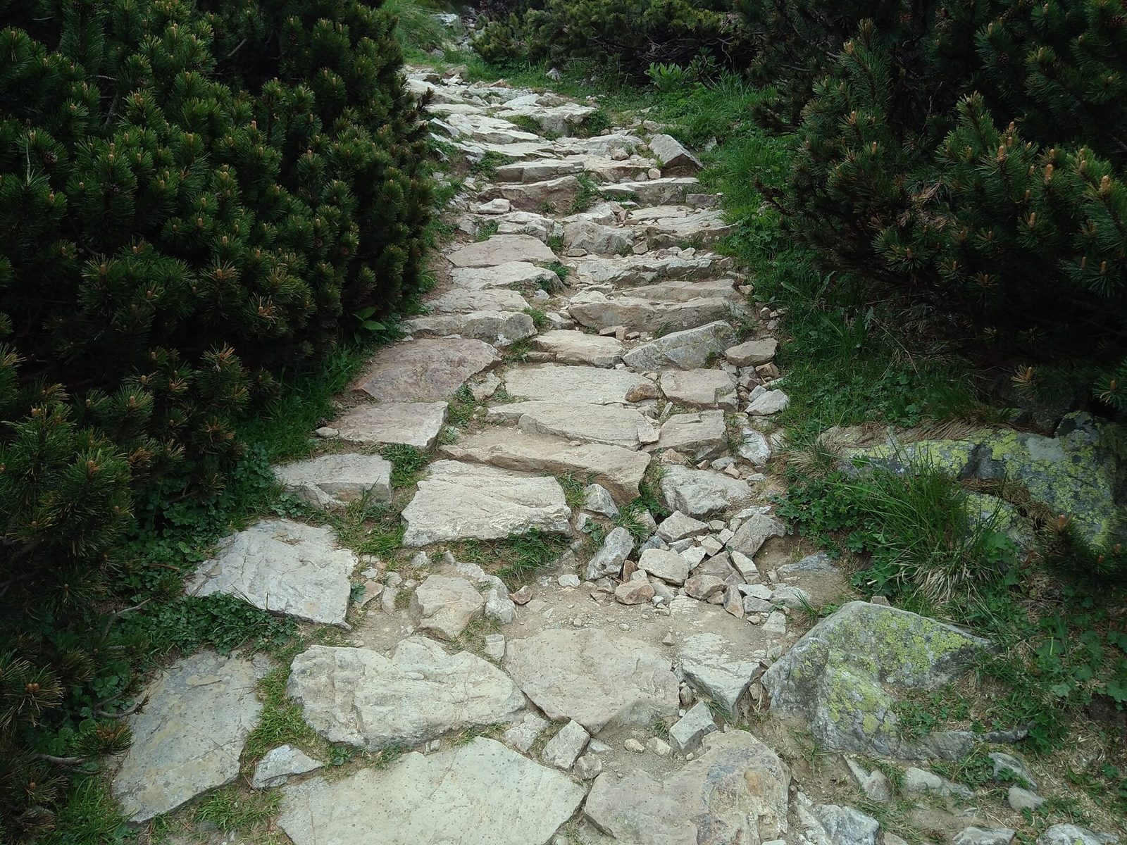 Trail in the Tatra mountains paved with local rocks